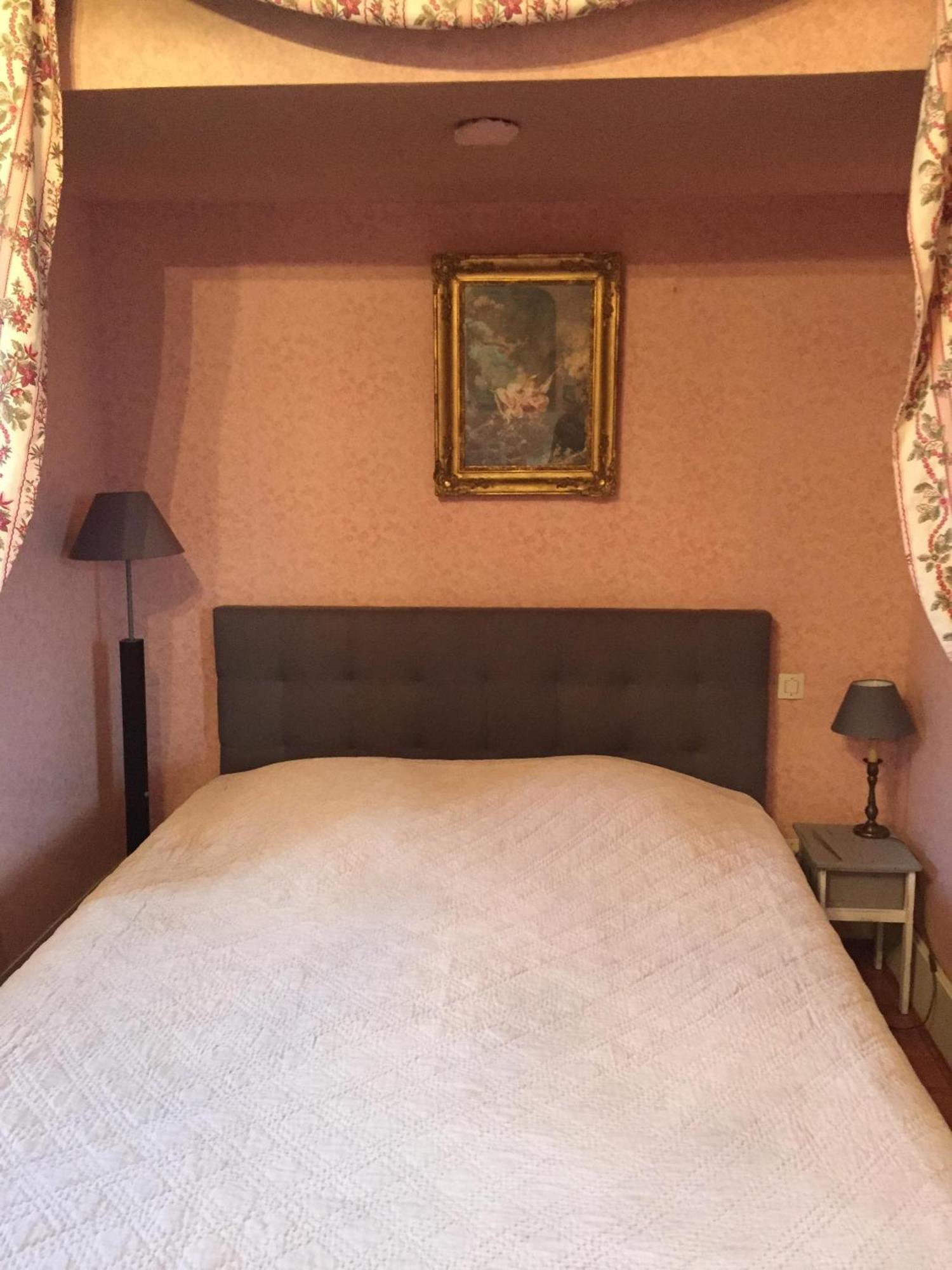 Chateau De Pintray Lussault-sur-Loire Habitación foto